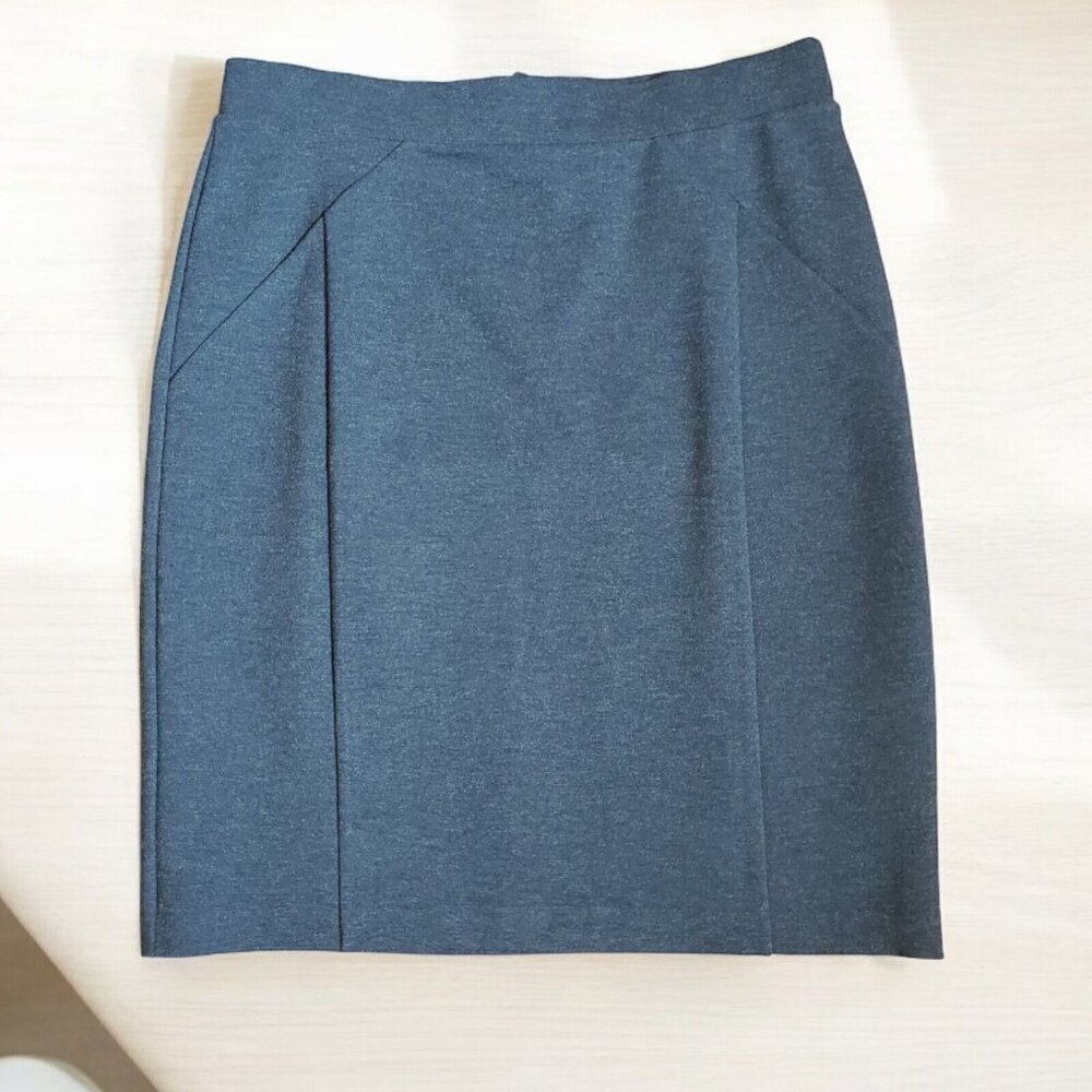 Mario Serrani Skirt Women's Size M Bodymagic Lined Slimming Skirt Charcoal NWT‎